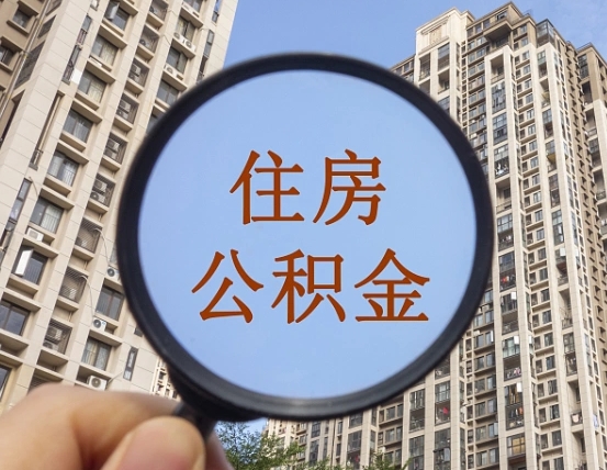 河南退休后查不到公积金明细了吗（退休后公积金查询不到原因）